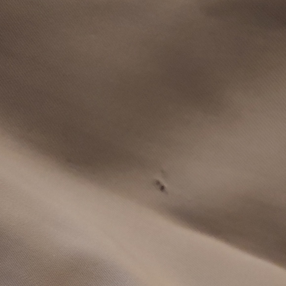 Eleanor P. Brenner Ltd. 100% Wool Womens Slacks Sz 12 - Picture 9 of 9